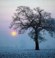 Mist, Partly cloudy Mist, Partly cloudy